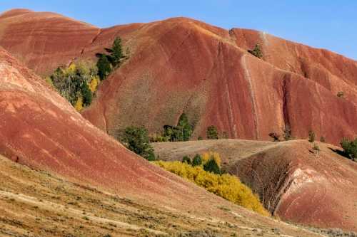 Vibrant red hills with textured layers and patches of green and yellow vegetation under a clear blue sky.