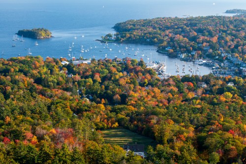 Aerial view of a colorful autumn landscape with a harbor, boats, and vibrant trees along the coastline.