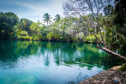 A serene lagoon surrounded by lush greenery and palm trees, reflecting the clear blue sky.