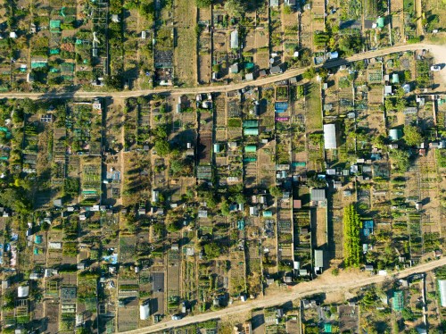 Aerial view of a sprawling community garden with numerous plots, pathways, and greenery.