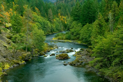 A serene river flows through a lush green forest, surrounded by trees and rocky banks under a clear sky.