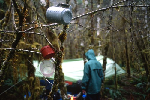 A camping scene in a forest with hanging mugs on trees and a person in a green jacket near a tent.