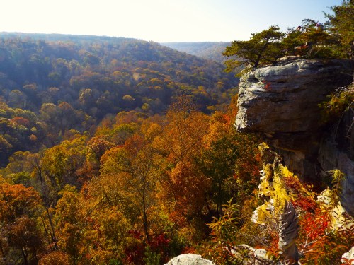 A scenic view of a colorful autumn landscape with vibrant trees and rocky cliffs under a clear sky.