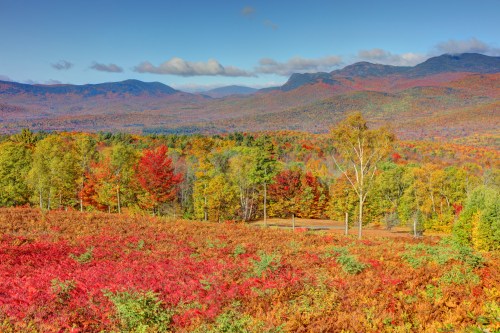 Vibrant autumn landscape with colorful trees and mountains under a clear blue sky.
