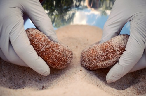 Two gloved hands hold freshly made donuts coated in sugar, resting on a bed of sand.