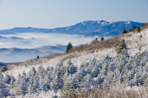 Snow-covered mountains and trees under a clear blue sky, with mist rising in the valleys below.