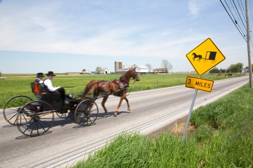 A horse-drawn carriage travels down a rural road, with a sign indicating a horse and buggy route ahead.