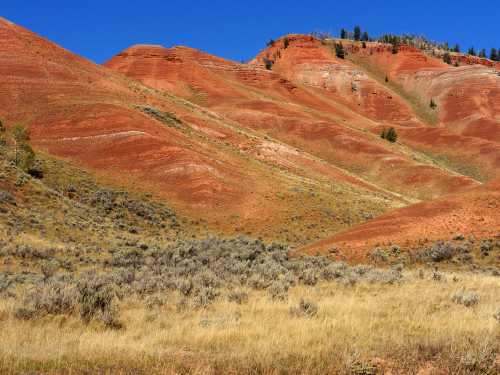 Vibrant red hills rise against a clear blue sky, with patches of grass and shrubs in the foreground.