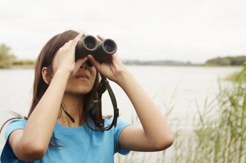 A girl in a blue shirt uses binoculars to observe nature by a lake, surrounded by tall grass.