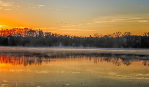 A serene sunrise over a misty lake, with trees silhouetted against the colorful sky and birds flying in formation.