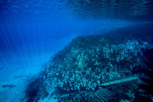 Underwater scene showing a rocky seabed with coral and sunlight filtering through the water's surface.