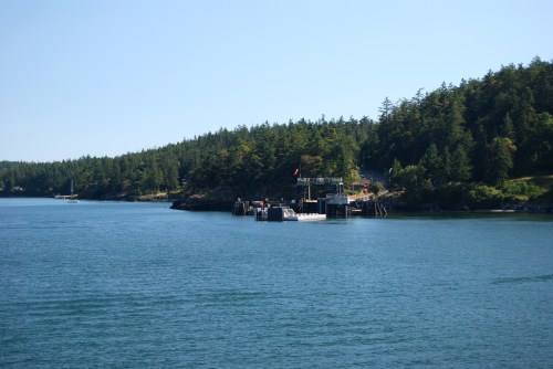 A serene coastal scene featuring a dock surrounded by lush green trees and calm blue water under a clear sky.