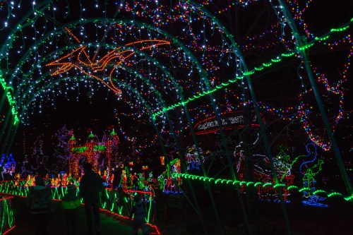 A colorful display of holiday lights illuminates a pathway, surrounded by festive decorations and vibrant scenes.