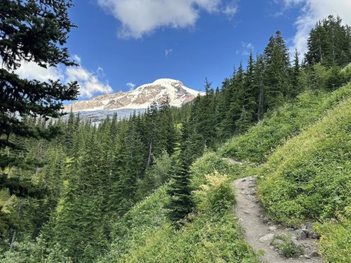 A winding trail through lush green forest, leading to a snow-capped mountain under a blue sky with scattered clouds.
