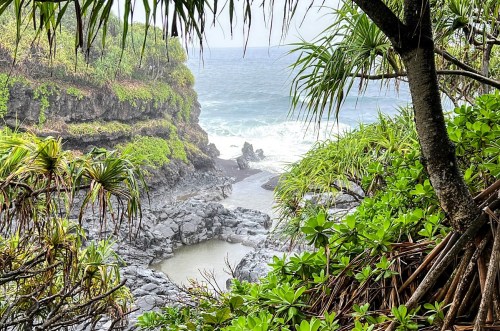 Lush greenery frames a rocky coastline with waves crashing against the shore under a cloudy sky.