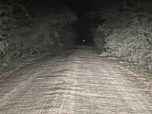 A dark, unpaved road flanked by trees, with a faint light visible in the distance.