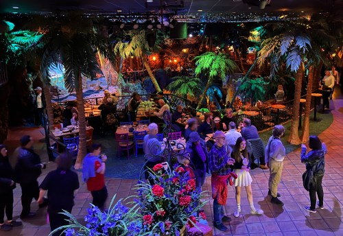 A lively indoor venue with tropical decor, featuring palm trees, colorful seating, and people socializing.