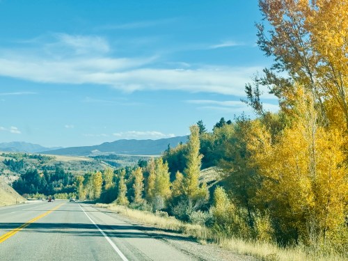 A scenic highway lined with golden autumn trees, mountains in the distance under a clear blue sky.