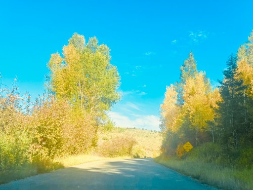 A scenic road surrounded by trees with autumn foliage under a clear blue sky.