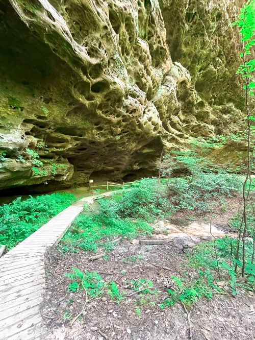 A wooden path leads into a lush green area with a large, textured rock formation overhead.