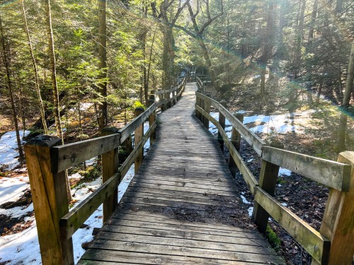 A wooden bridge winding through a forest, surrounded by trees and patches of snow, with sunlight filtering through.