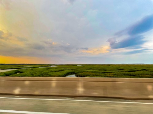 A scenic view of marshland with green grasses under a cloudy sky, seen from a moving vehicle.