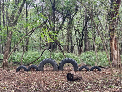 A forest scene featuring stacked tires arranged in a semi-circle, surrounded by trees and greenery on the forest floor.