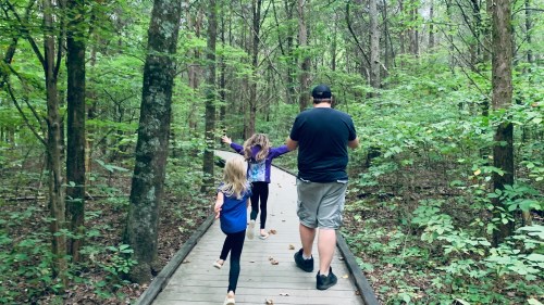A man walks on a wooden path in a forest with two young girls, surrounded by lush green trees.