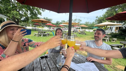 A group of friends toasting with drinks at an outdoor table under umbrellas on a sunny day.