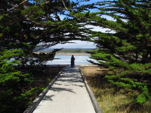 A person stands on a wooden path framed by trees, overlooking a serene coastal view.