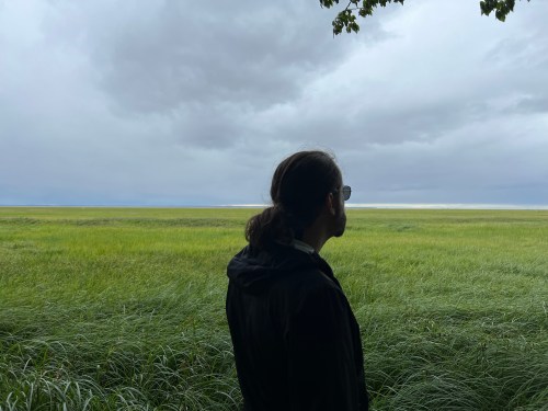 A person with long hair stands in a grassy field, gazing at a cloudy sky over the horizon.
