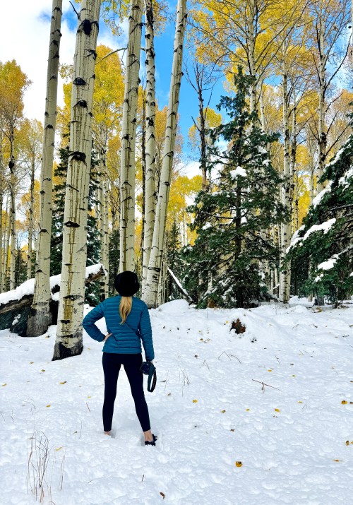 A person stands in a snowy forest of tall aspen trees with yellow leaves, looking towards the trees and blue sky.