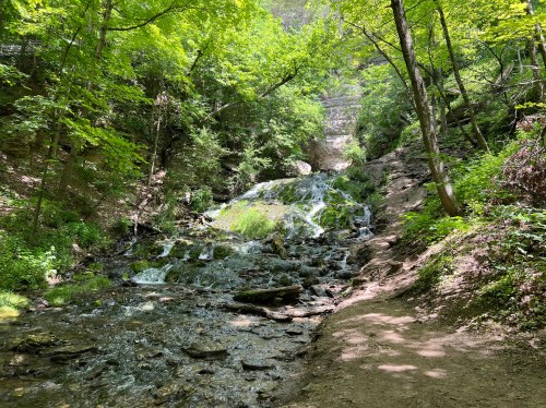 A serene waterfall cascades down rocky terrain, surrounded by lush green trees and a peaceful forest path.