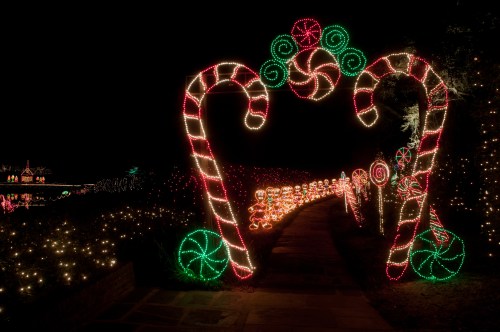 Colorful holiday lights form candy canes and lollipops along a festive pathway at night.