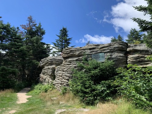 A rocky outcrop surrounded by trees and a clear blue sky, with a path leading through the greenery.