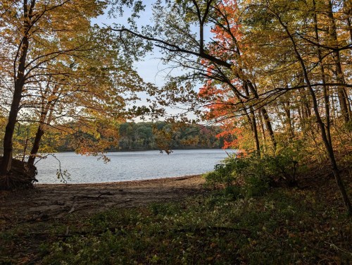 A serene lake view framed by colorful autumn trees, with a sandy shore and gentle water ripples.