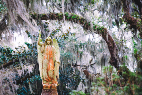 A weathered angel statue stands amidst lush greenery and hanging moss in a serene outdoor setting.