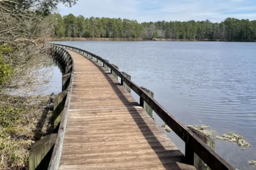A wooden boardwalk curves along a calm lake, surrounded by trees and a clear blue sky.