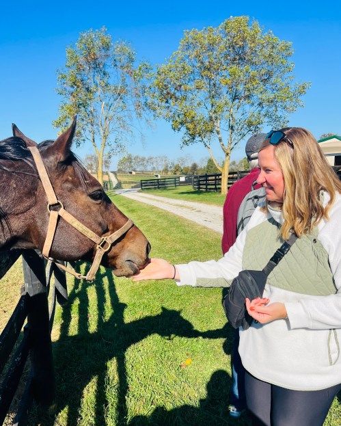 A woman gently feeds a horse while standing in a sunny outdoor setting with trees and a fence in the background.