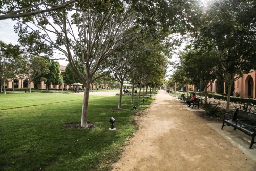 A tree-lined pathway in a park with benches, grassy areas, and a few people enjoying the serene environment.