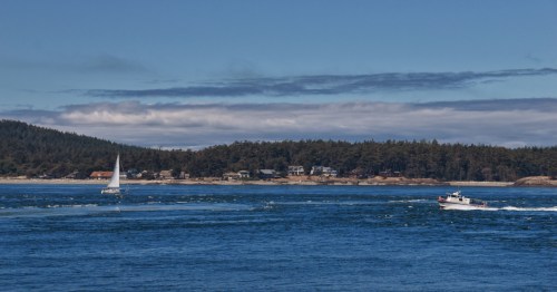 A sailboat and a jet boat sail across the ocean near Lopez Island in Washington.