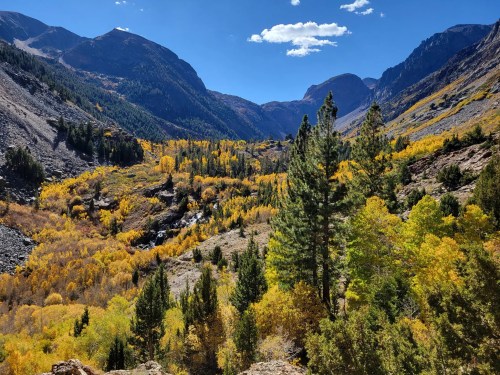 A vibrant valley filled with golden autumn foliage, surrounded by mountains under a clear blue sky.
