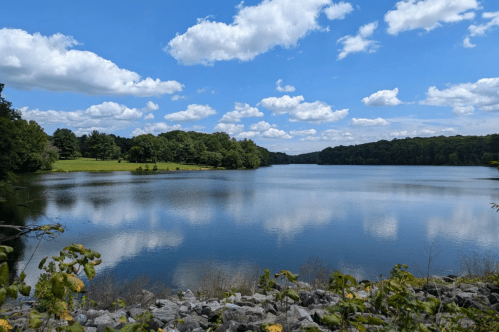 A serene lake surrounded by greenery and trees, reflecting fluffy clouds in a clear blue sky.