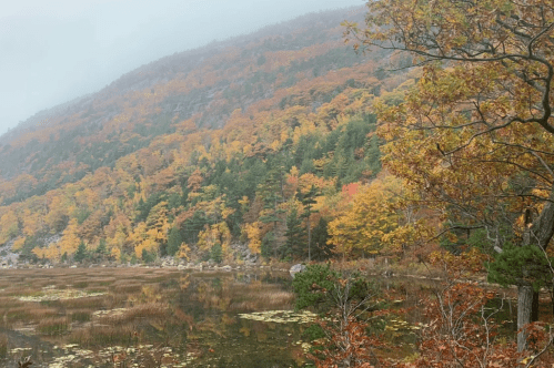 A serene landscape featuring a foggy mountain with vibrant autumn foliage reflected in a calm lake.
