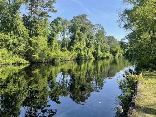 A serene canal surrounded by lush greenery, reflecting trees and blue sky on calm water.