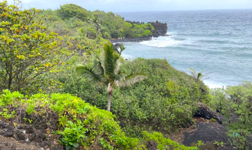 Lush greenery and palm trees overlook a rocky coastline and waves crashing against the shore under a cloudy sky.