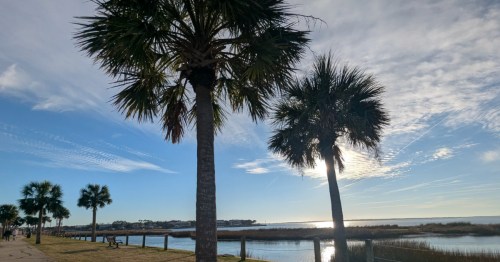A beautiful day in Mount Pleasant, South Carolina with a waterfront trail and palm trees.