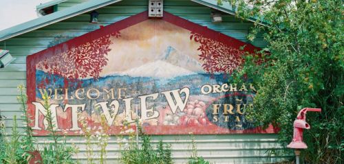 A colorful mural on a building reads "Welcome to NT View Orchard Fruit Stand," surrounded by greenery.