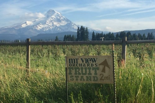 Sign for "Mt View Orchards Fruit Stand" with a mountain in the background and lush green fields in the foreground.