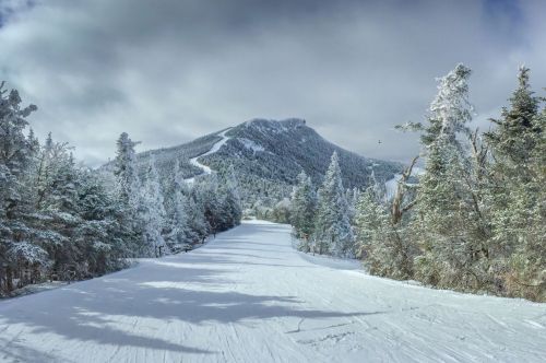 A snowy ski slope surrounded by frosted trees, leading to a mountain under a cloudy sky.